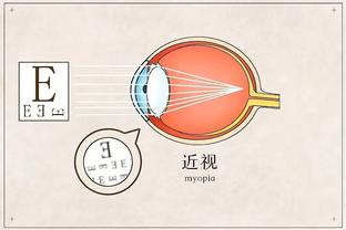 半岛综合体育登录平台网站截图1